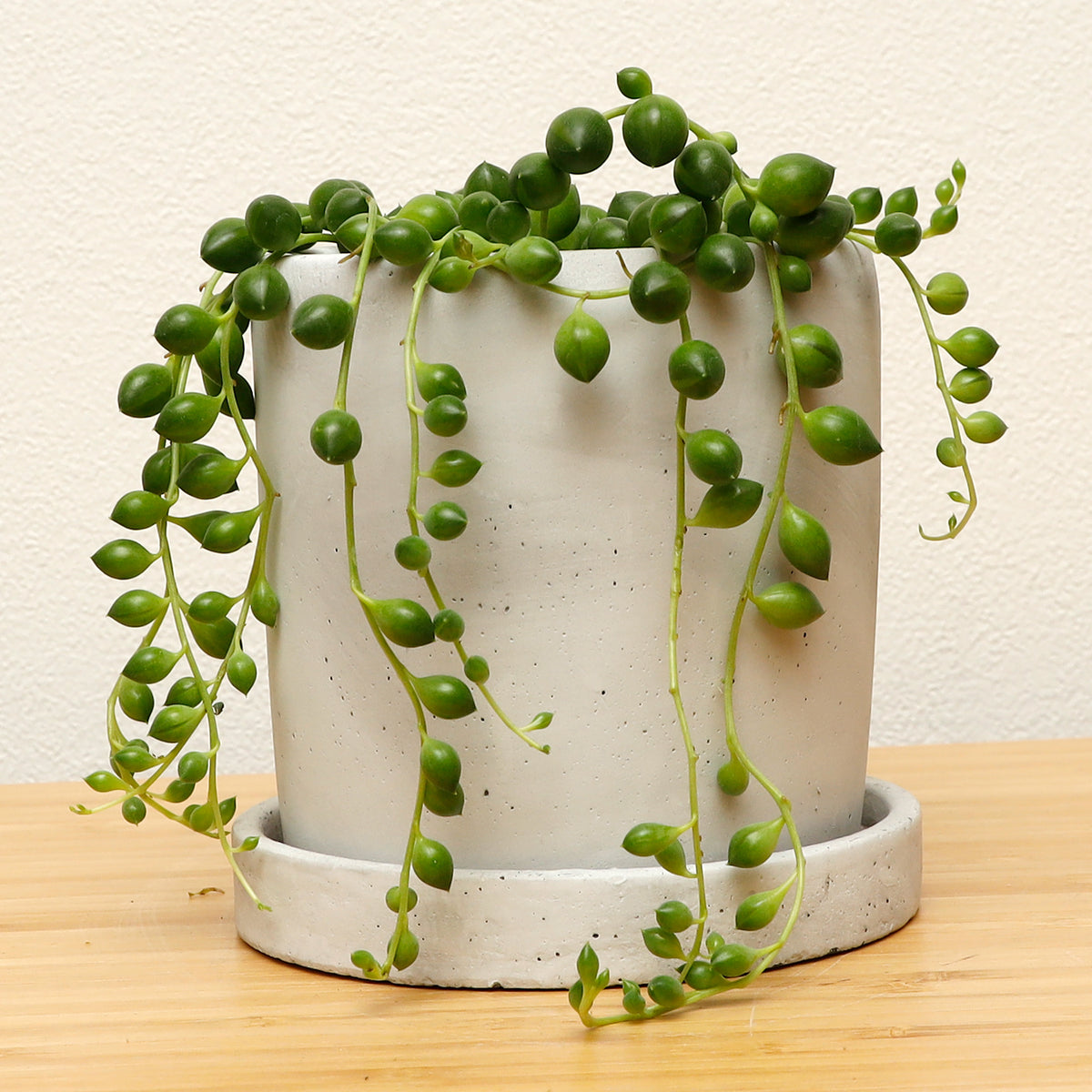 クリア度AAAAA大玉グリーンガーデン入りブレス クリア度AAAAA大玉グリーンガーデン入りブレス クリア度AAAAA大玉