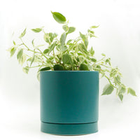 カラーシリンダープランター