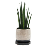 カラーモザイクプランター