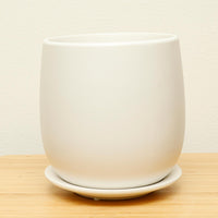 陶器ボールマット白13cm