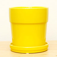 下皿付コーティングプランター S イエロー