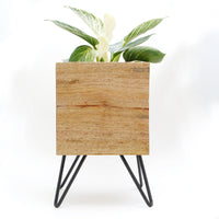 マンゴーウッドキューブポットスタンド(ソリッド)