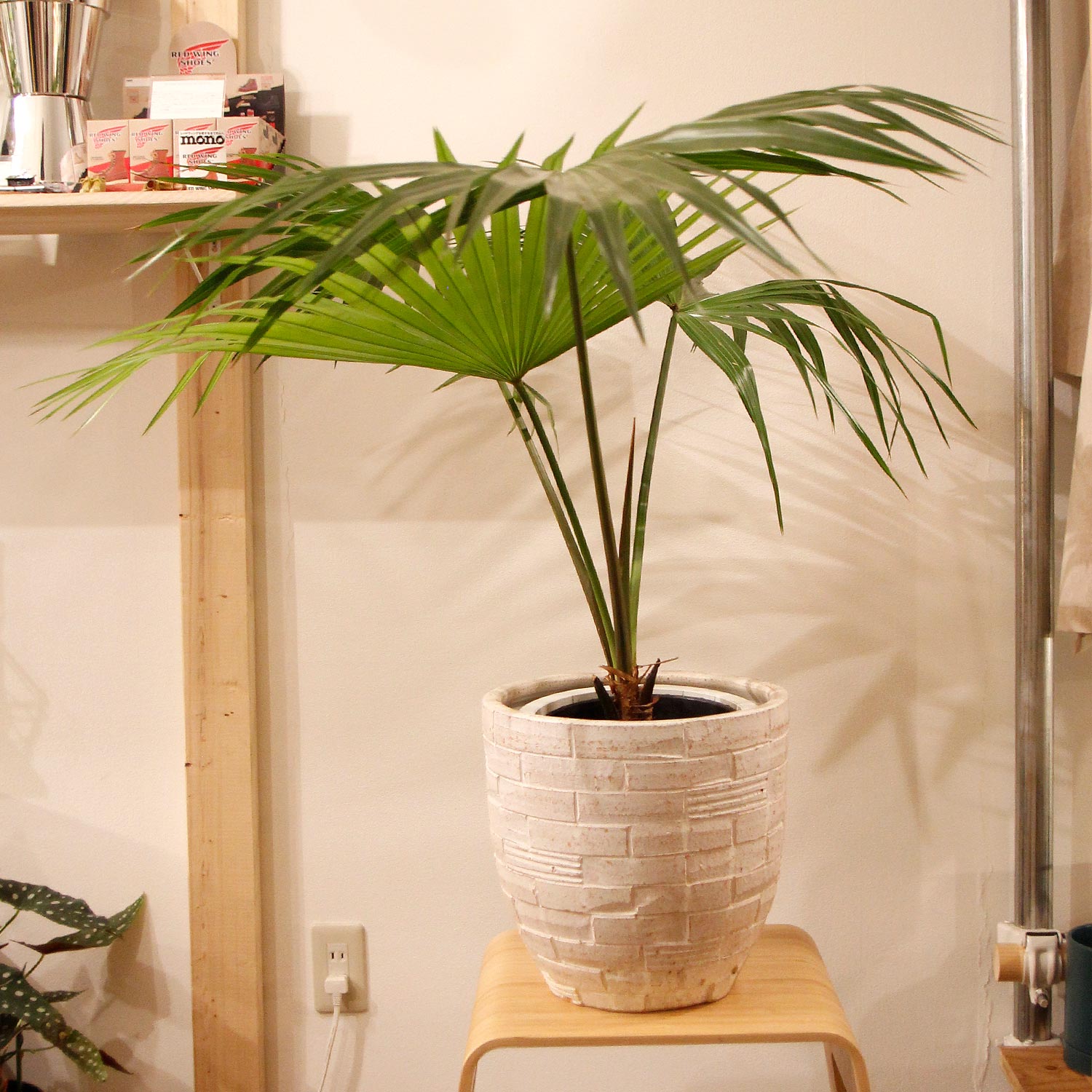 2_b0df5e7c-7047-4fe7-9fce-