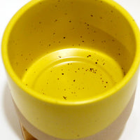 カラー釉薬プランター