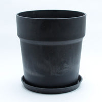 アーバンプランツポットL