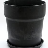 アーバンプランツポットL