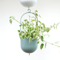 ジョイントカラーアイアンハンギングプランター