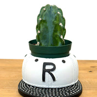 キャップポット