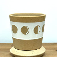 ドットライン ポット