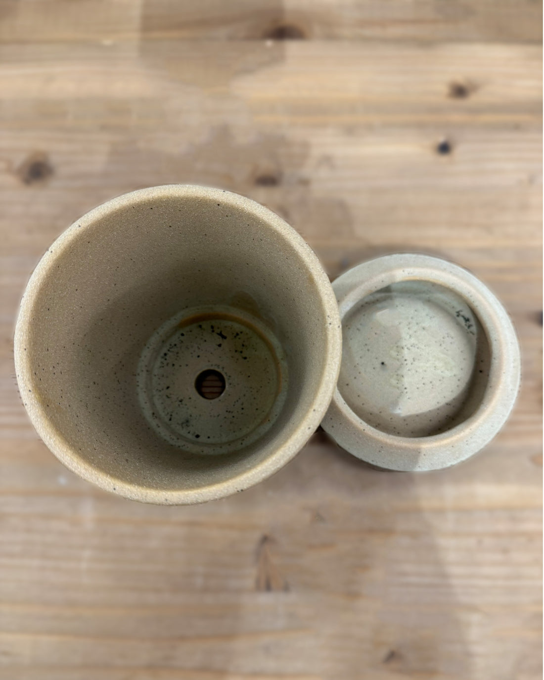 ドットライン ポット