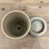 ドットライン ポット