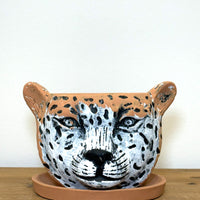 タイガーポット