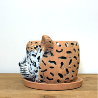 タイガーポット