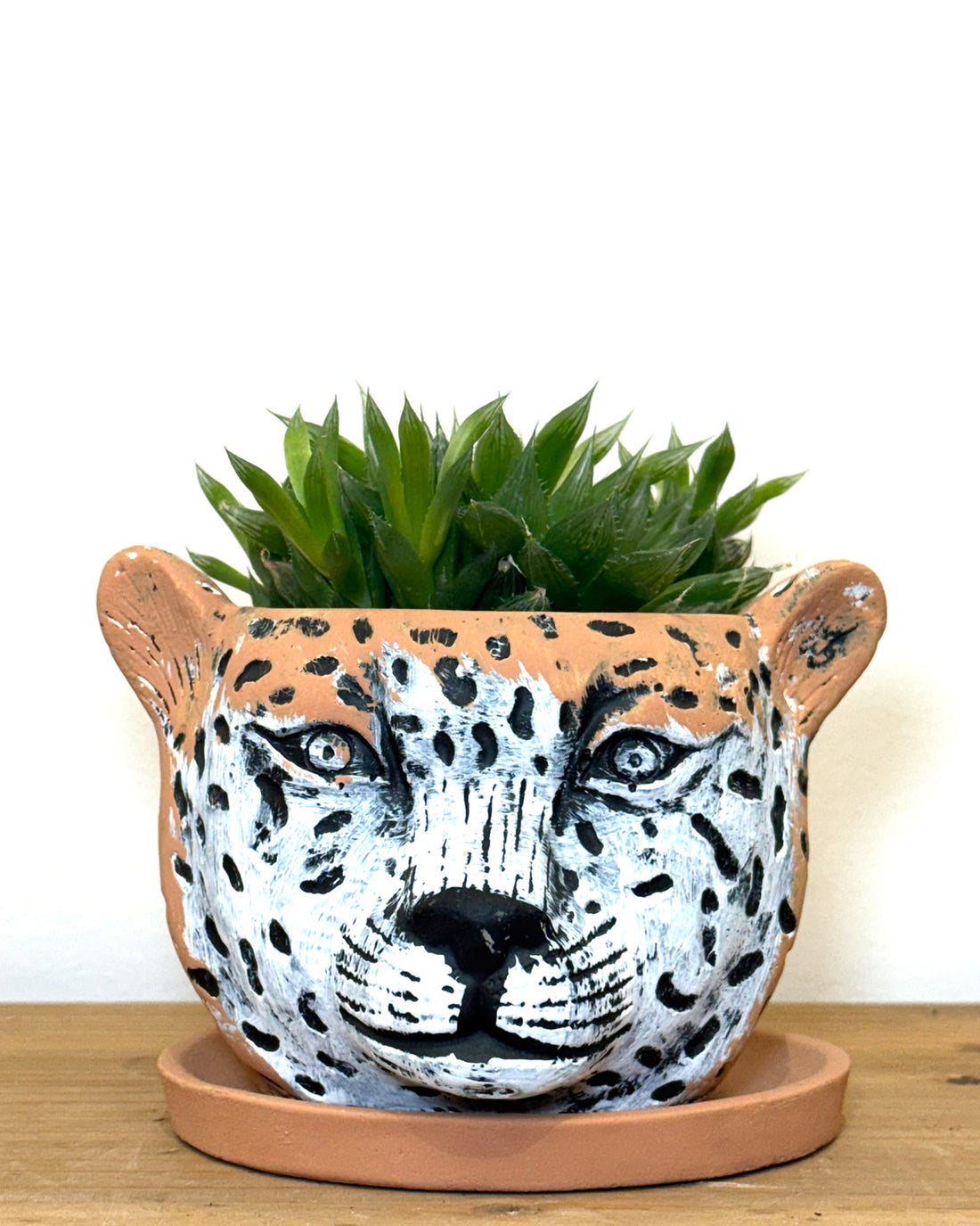 タイガーポット