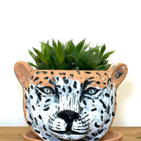 タイガーポット