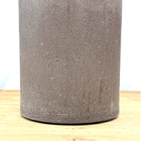 ベゴニア・マクラータ