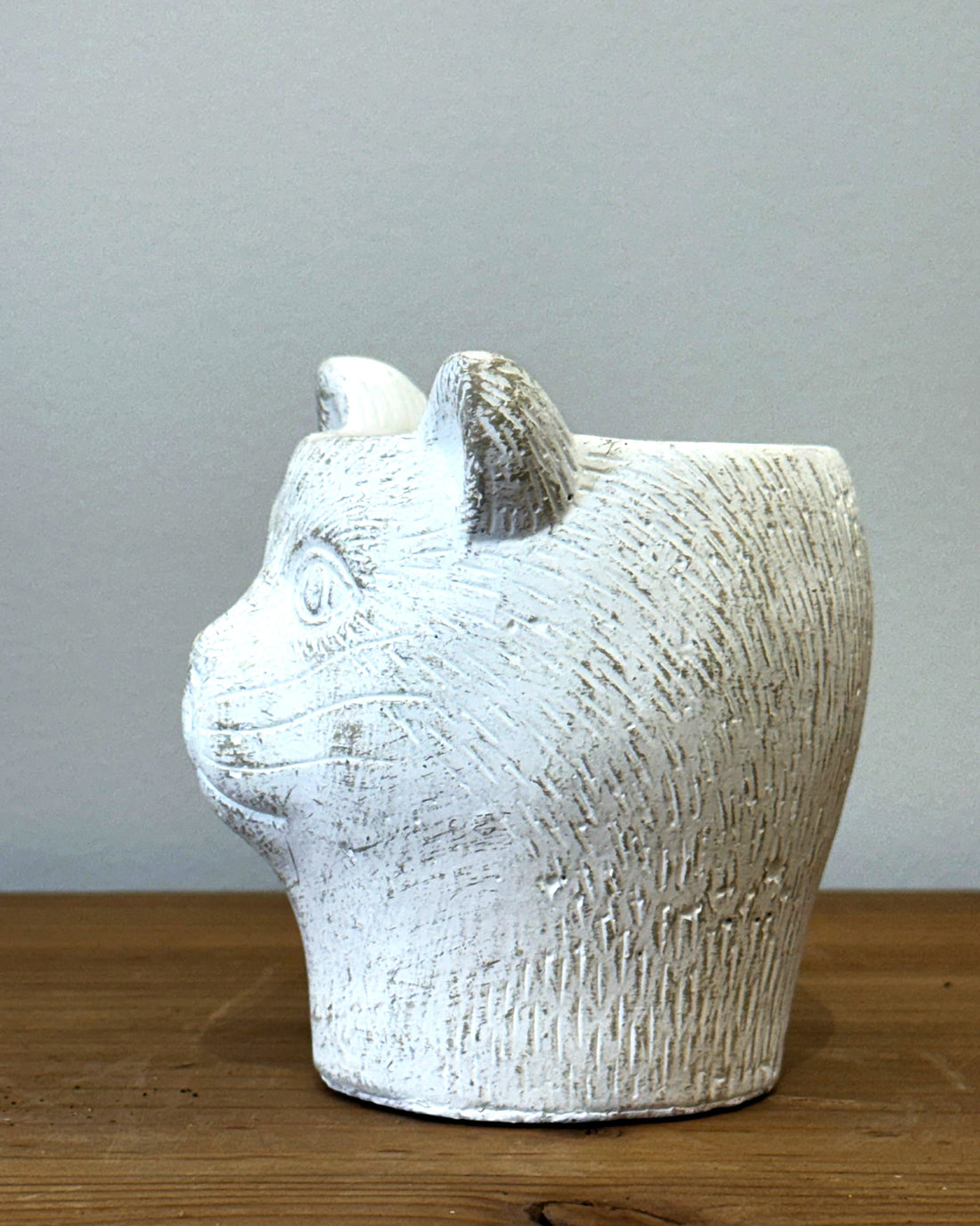 キャットポット