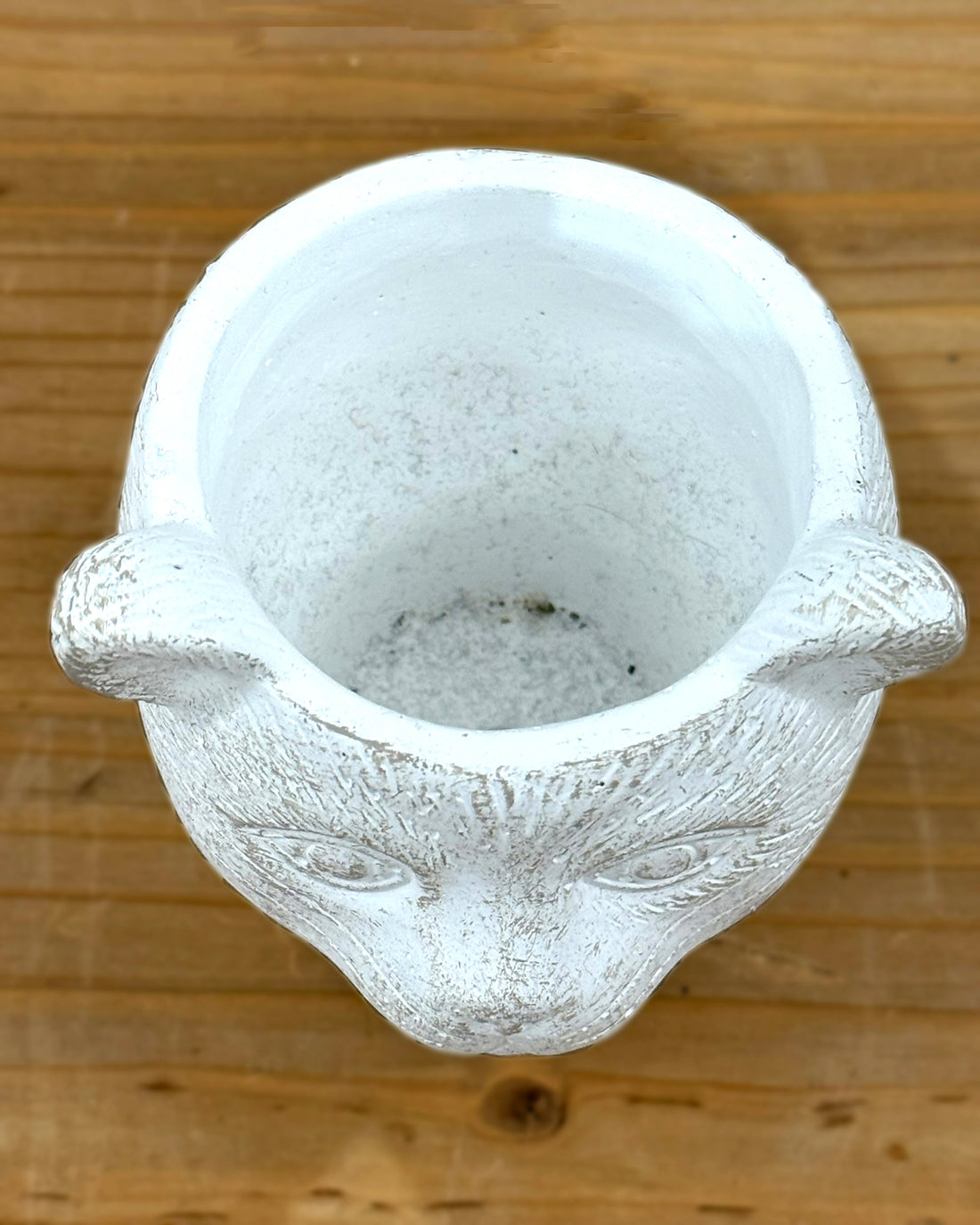 キャットポット