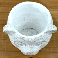 キャットポット